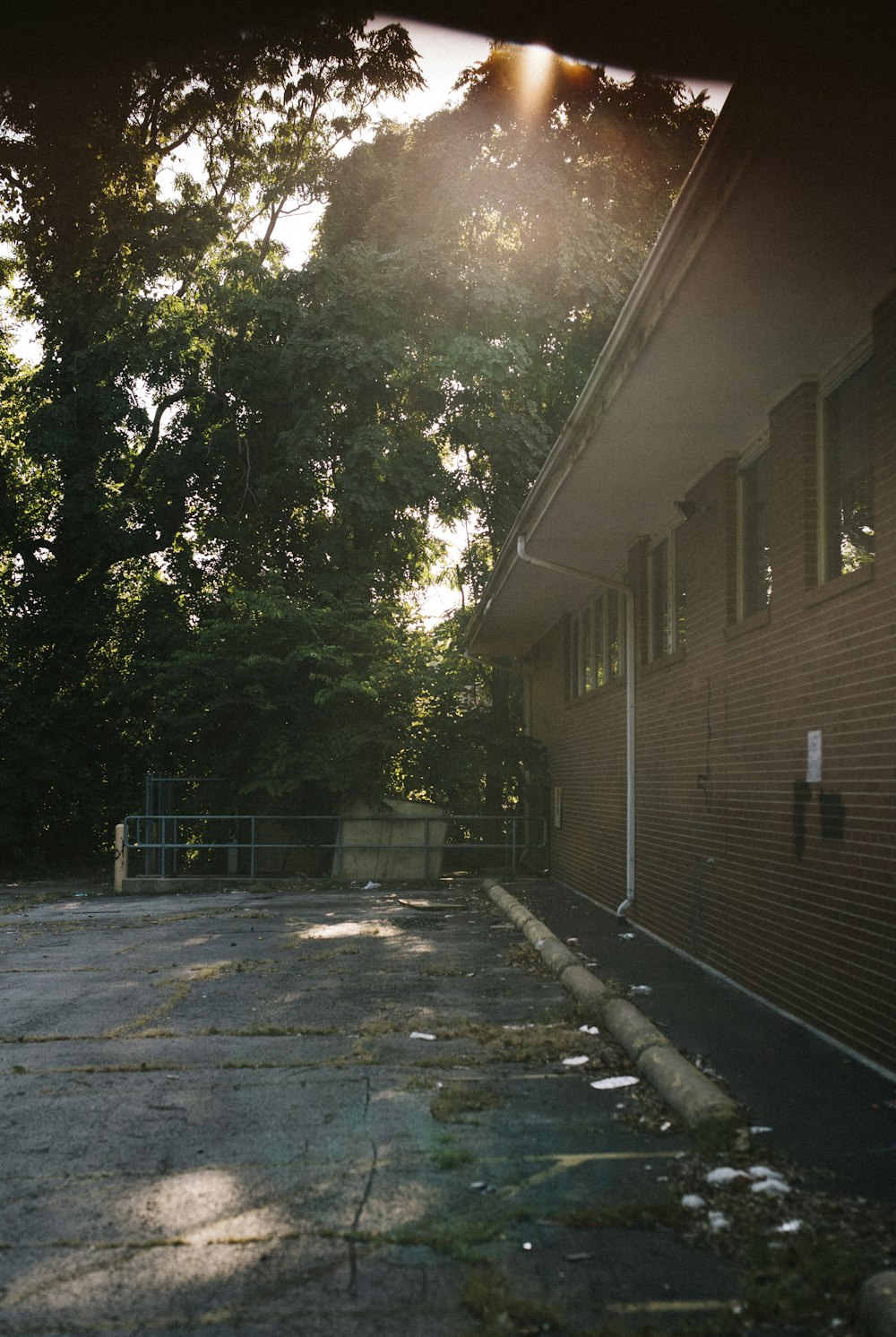 green trees beside brown concrete building during daytime