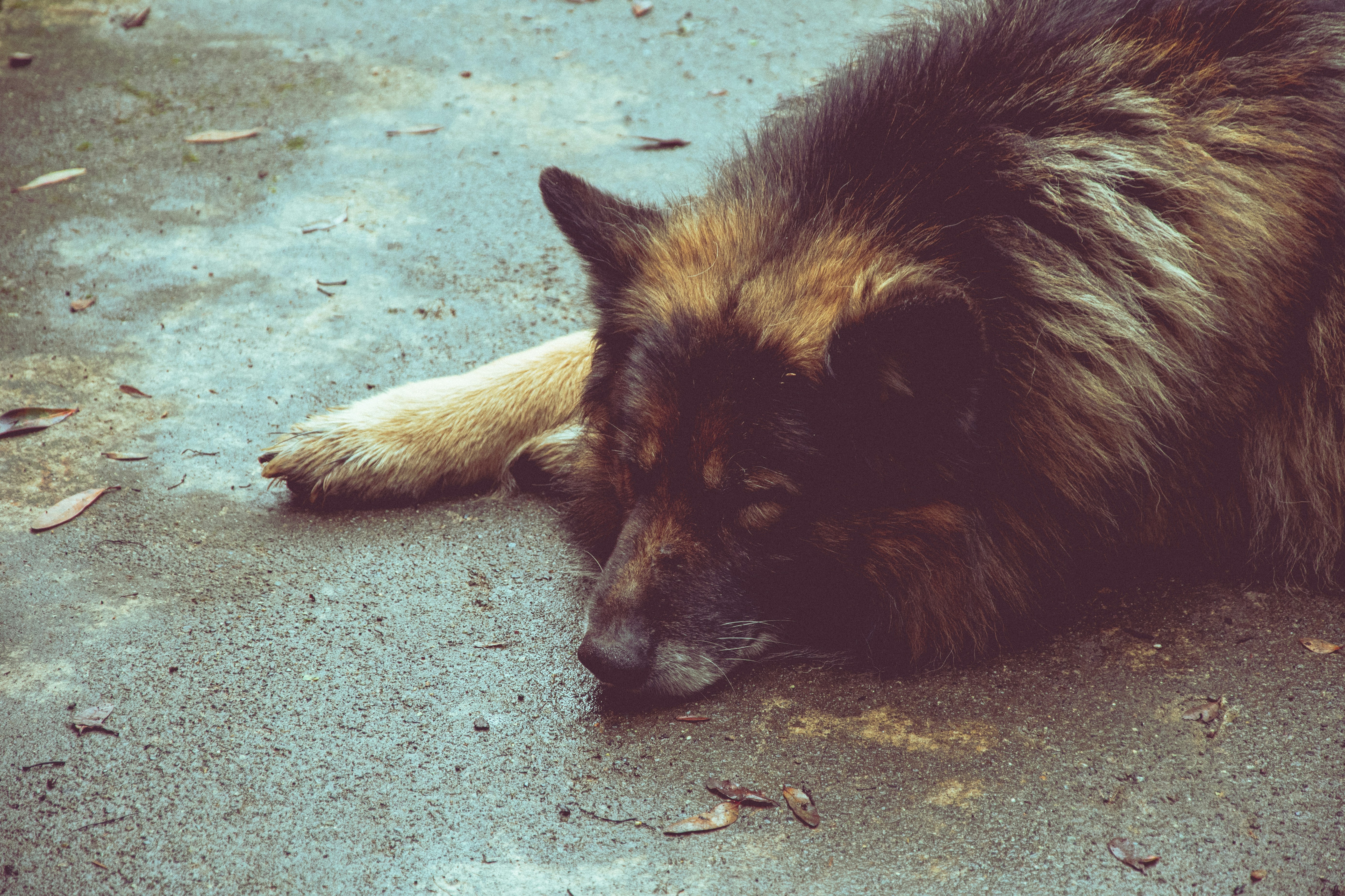 Photo by davidvilches