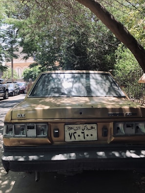 Toyota car parked near a leafy city park, blending nature with modern design.
