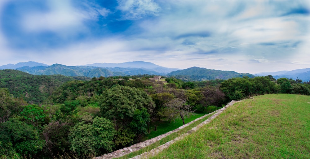 green trees on mountain under blue sky during daytime