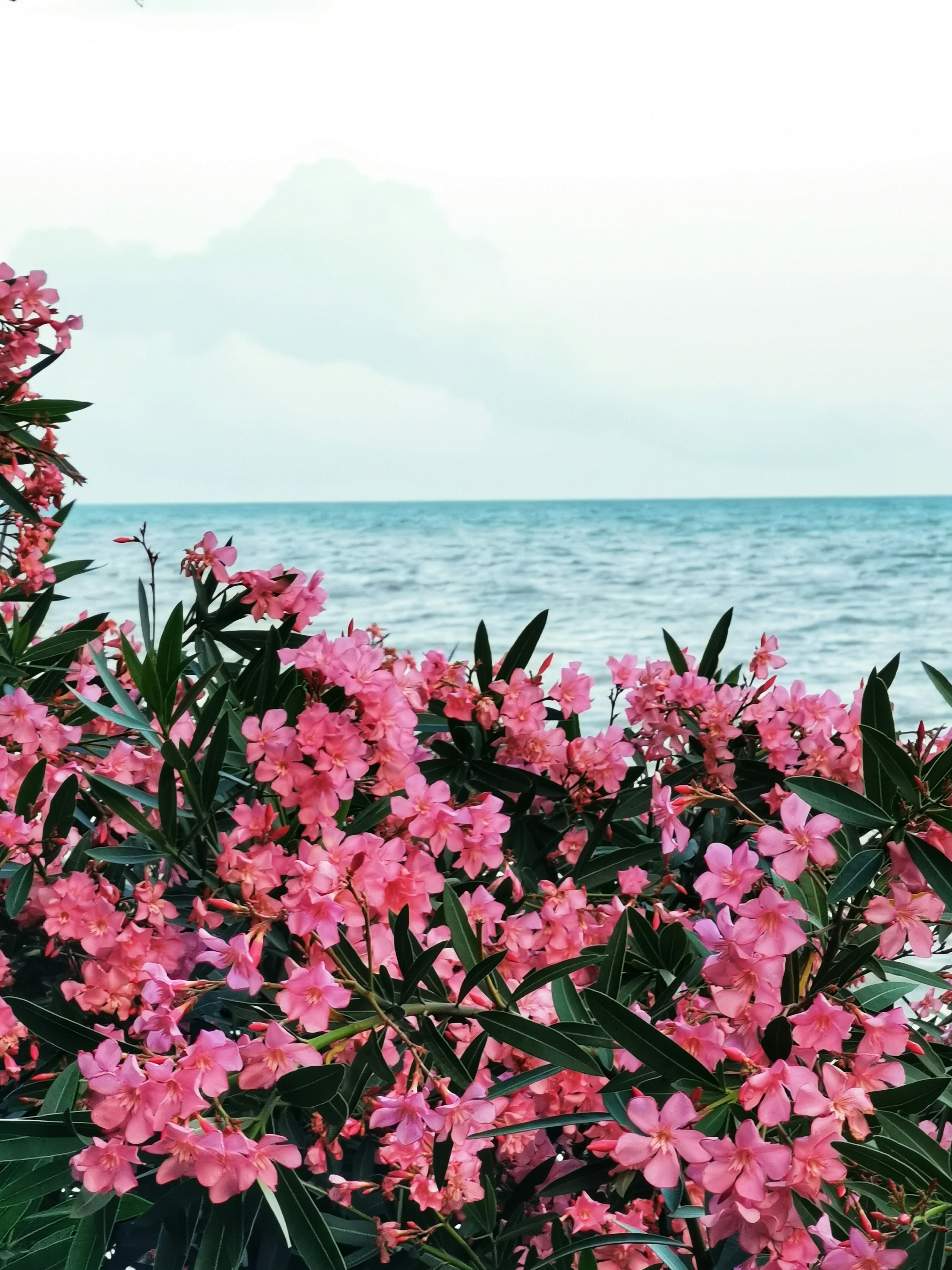 4 Coastal Floral Arrangements for Lakehouse Beachside Tables