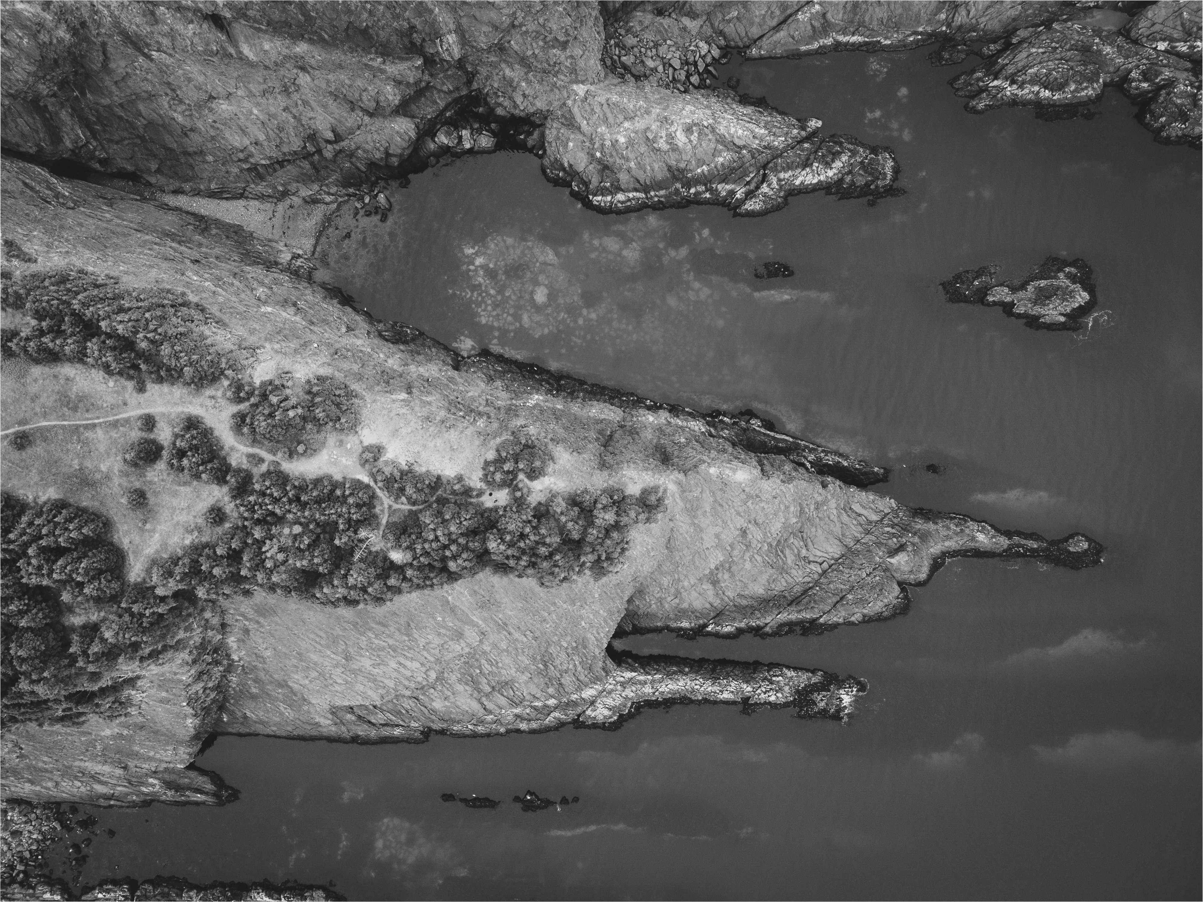 Photo by introspectivedsgn