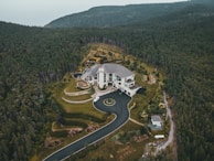 white and gray building surrounded by green trees during daytime