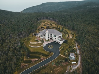 white and gray building surrounded by green trees during daytime