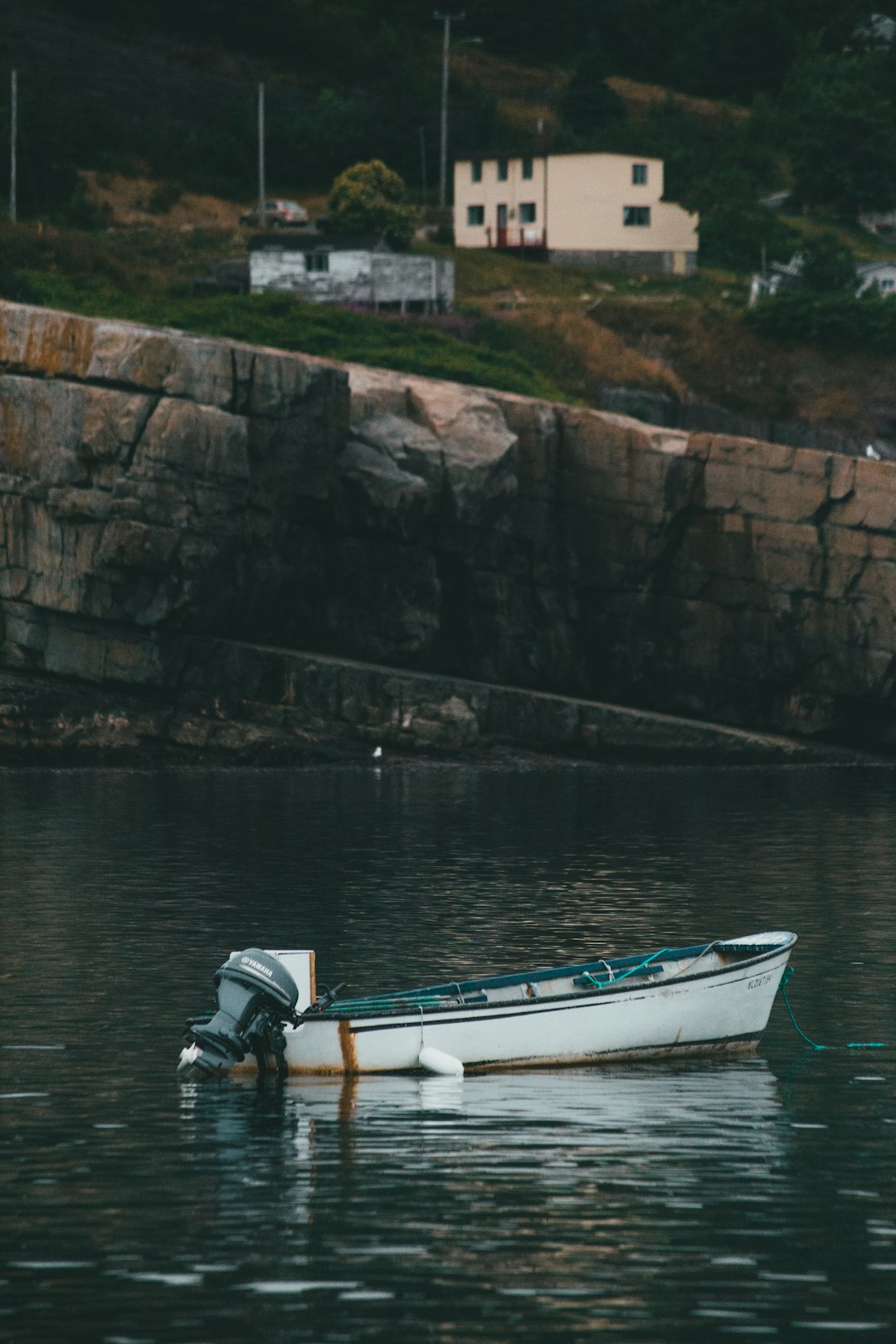 blue and white boat on body of water during daytime