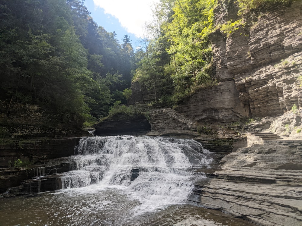 waterfalls between green trees during daytime