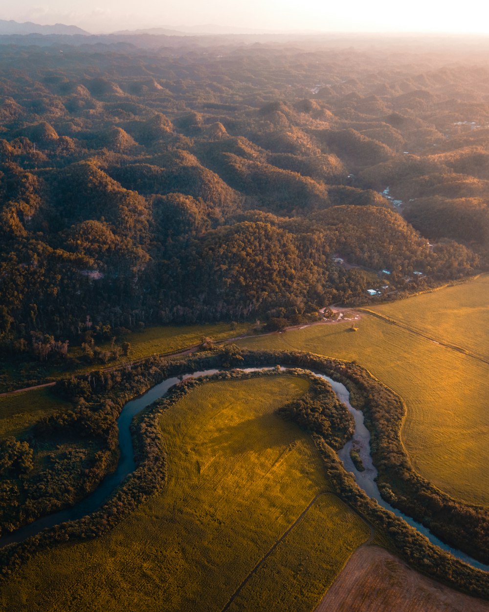 aerial view of green trees and river