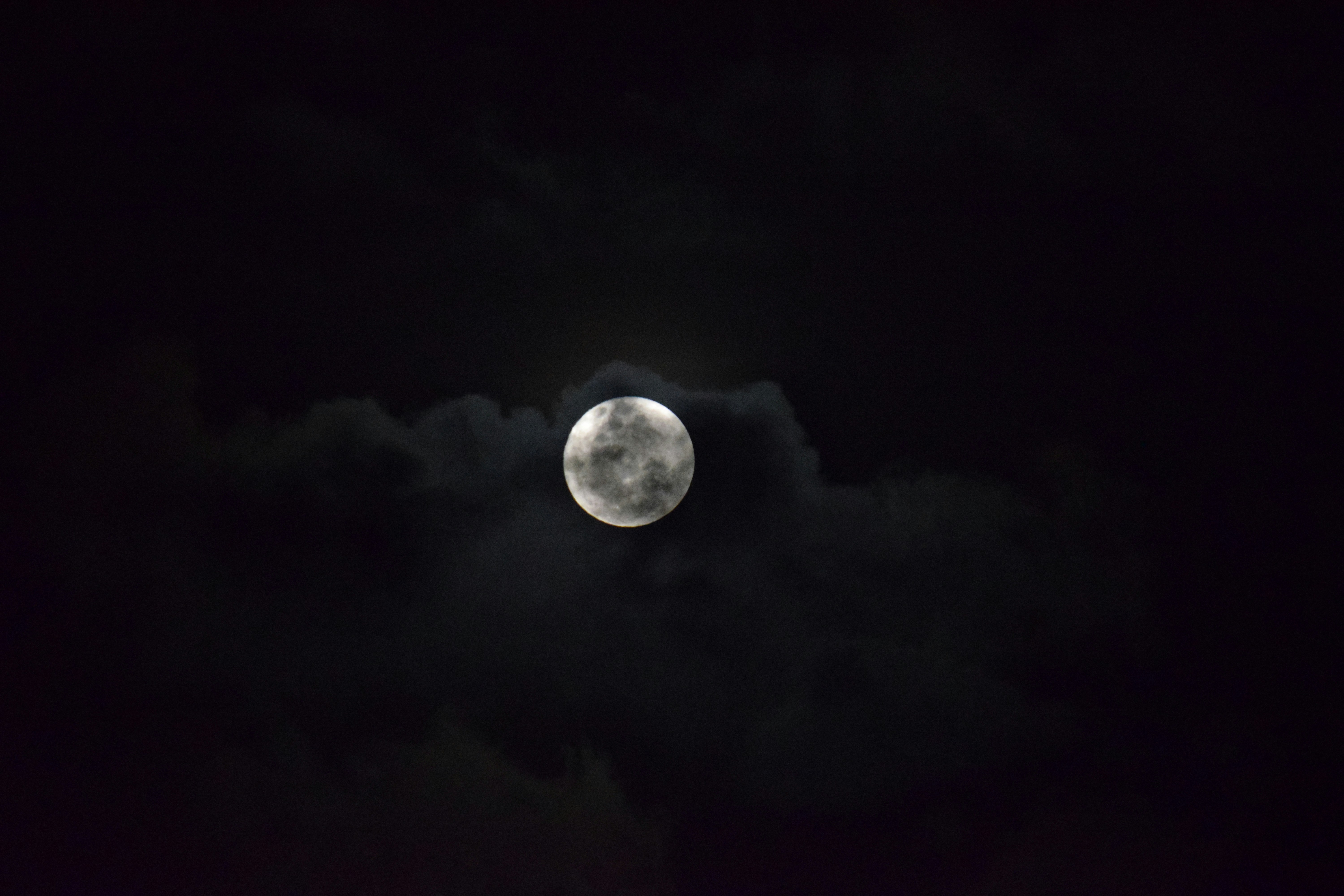 Photo by ch_photography