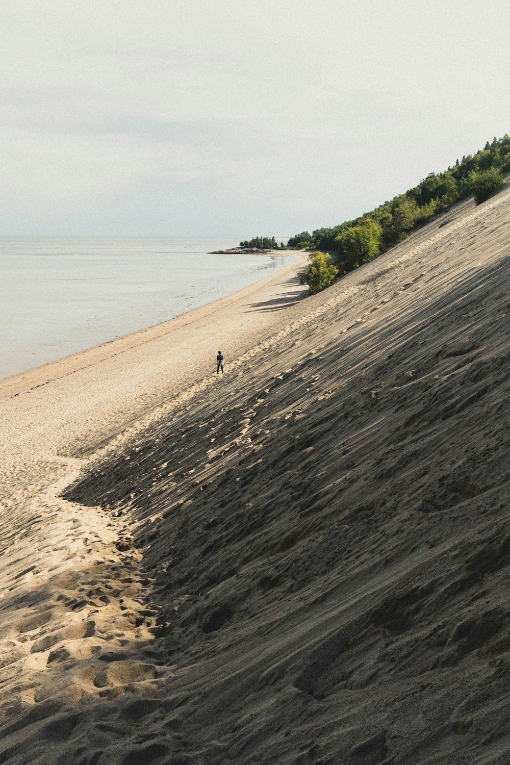 people walking on beach shore during daytime