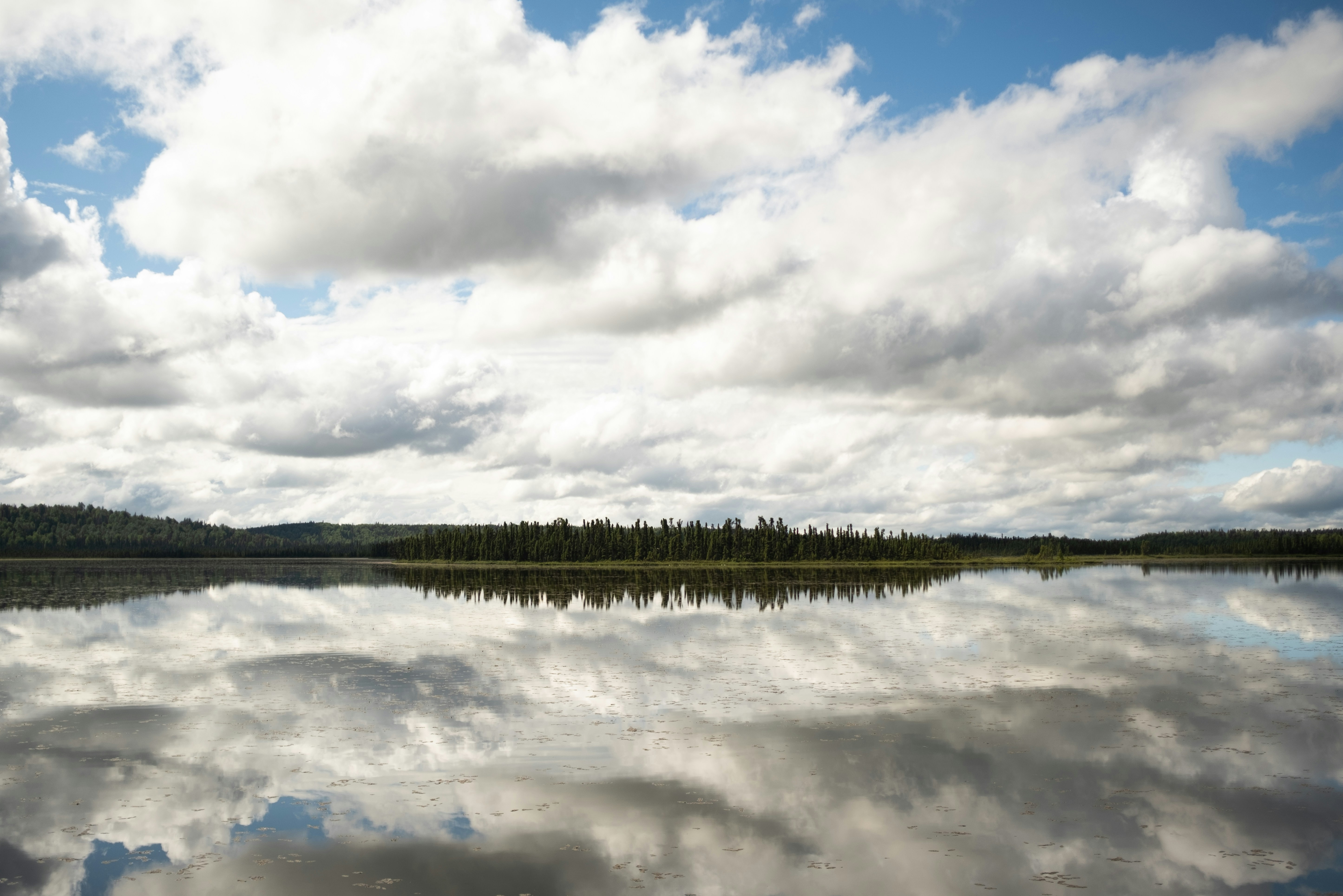 Photo by jaron_mobley