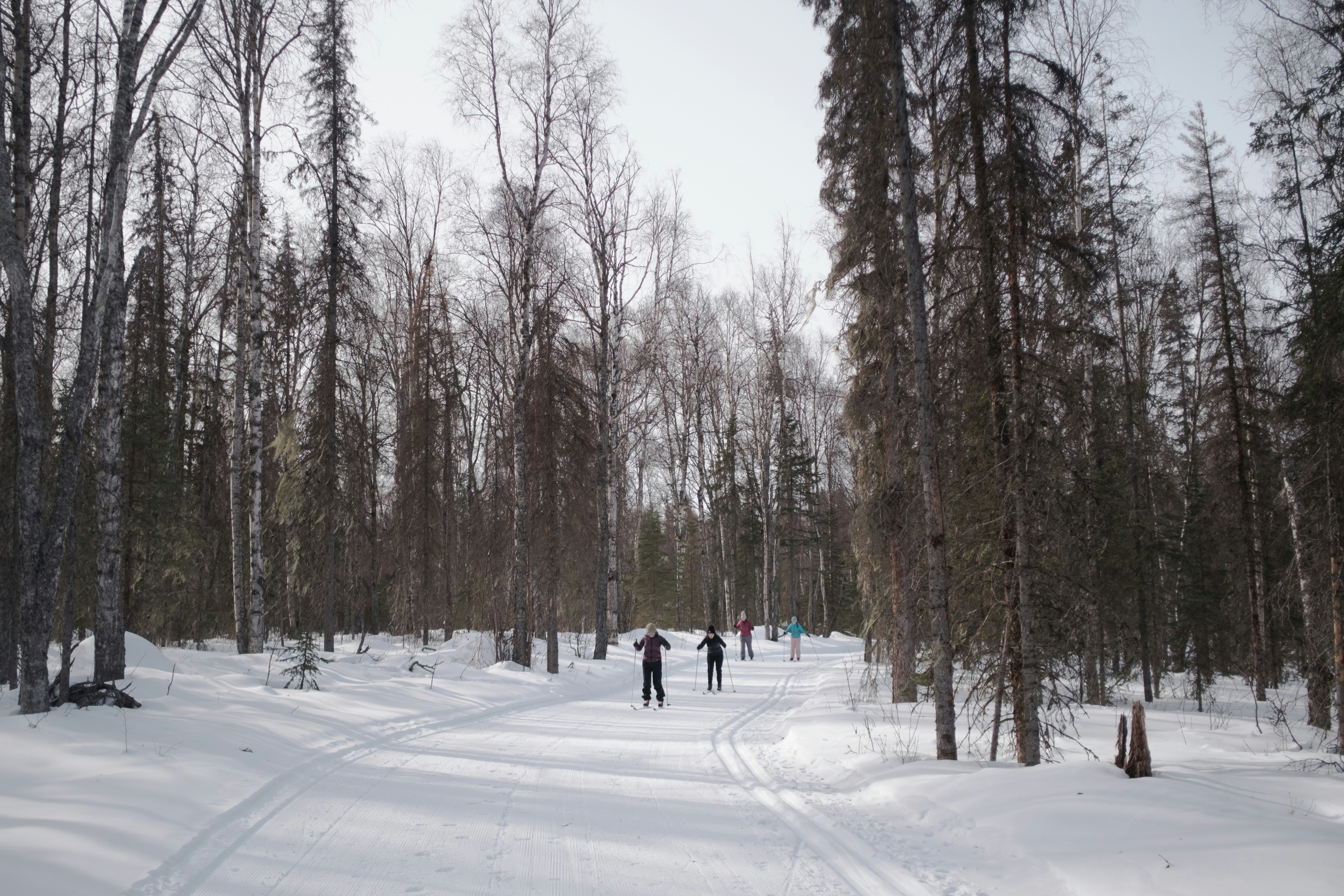 people walking on snow covered road during daytime