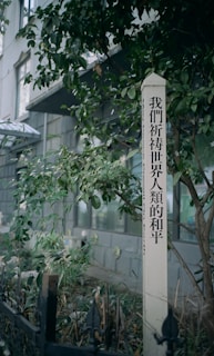 A vertical white post with black text stands surrounded by green foliage, next to a building with large windows. The ground has dried leaves and a small black fence.