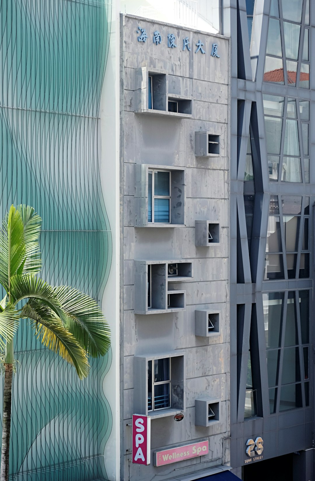 green palm tree beside white concrete building