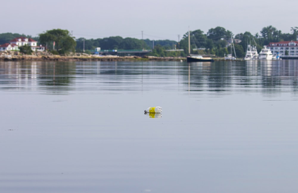 yellow and white boat on water during daytime