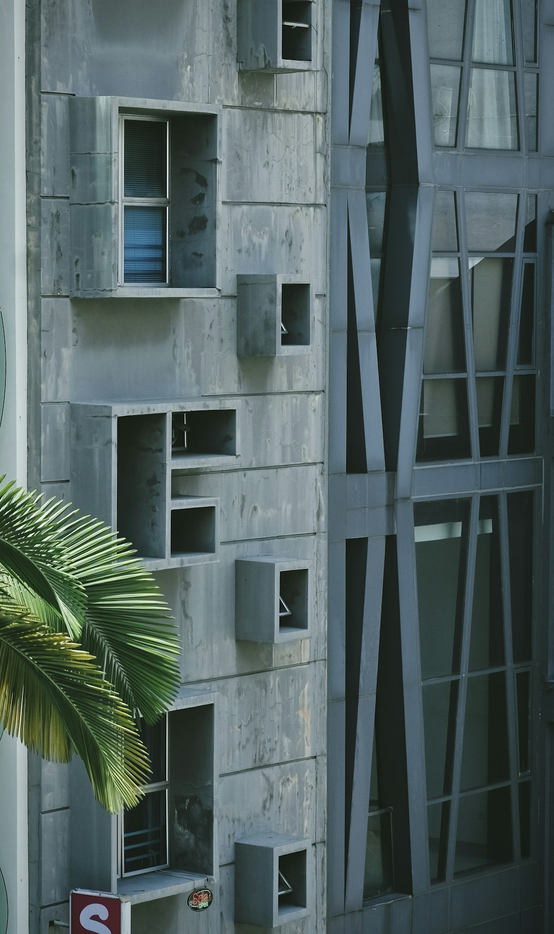 green palm plant beside white concrete building