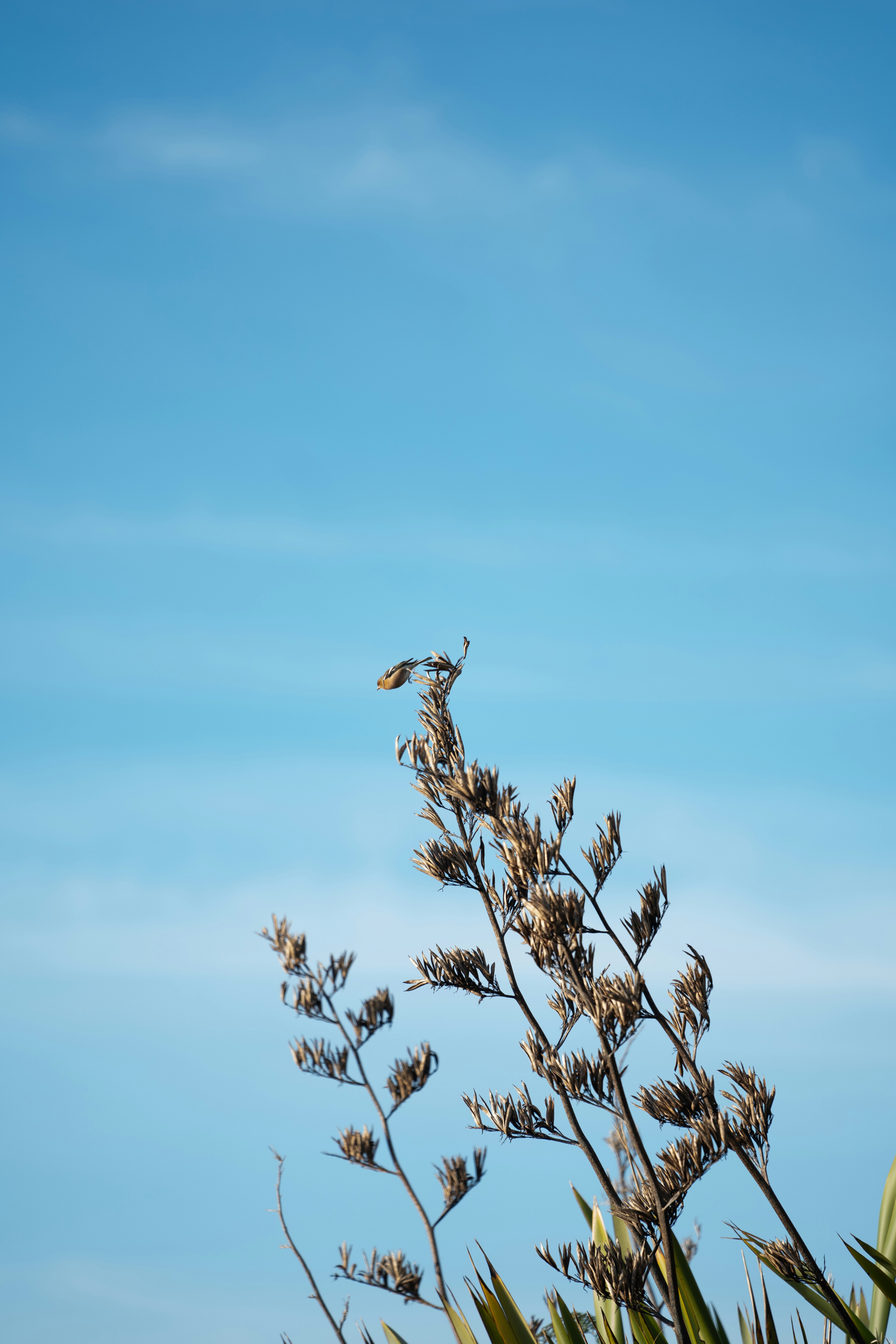 Photo by jasonjsgardner