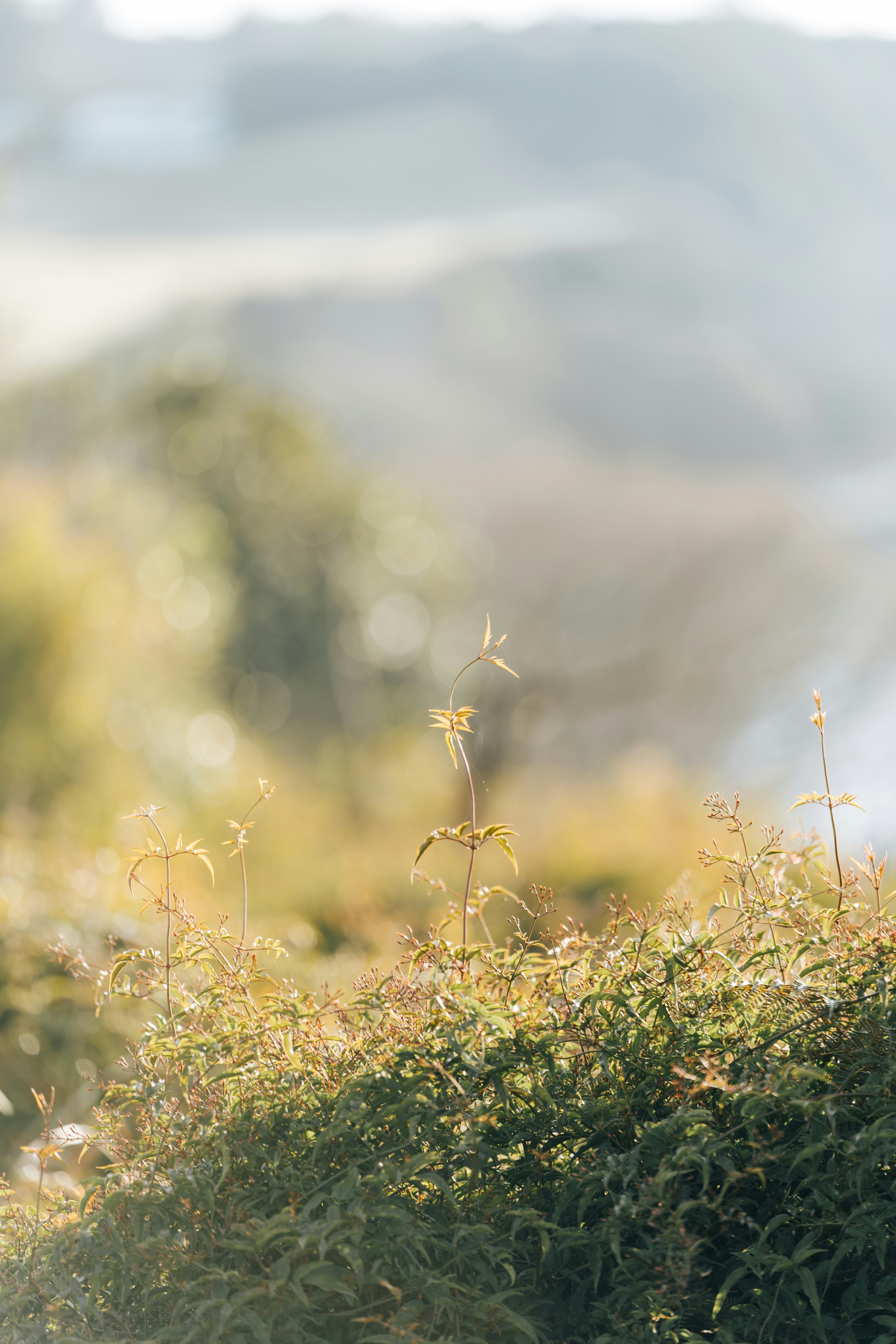 Photo by jasonjsgardner