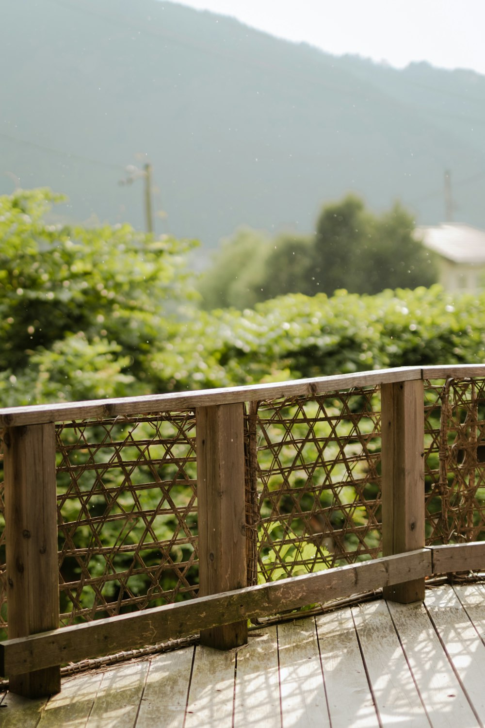 brown wooden fence near green trees during daytime