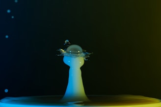 A single water droplet creates a splash with a distinct mushroom-like shape against a dark background. The drop is captured mid-motion, with smaller droplets surrounding it, highlighting the fluid dynamics.