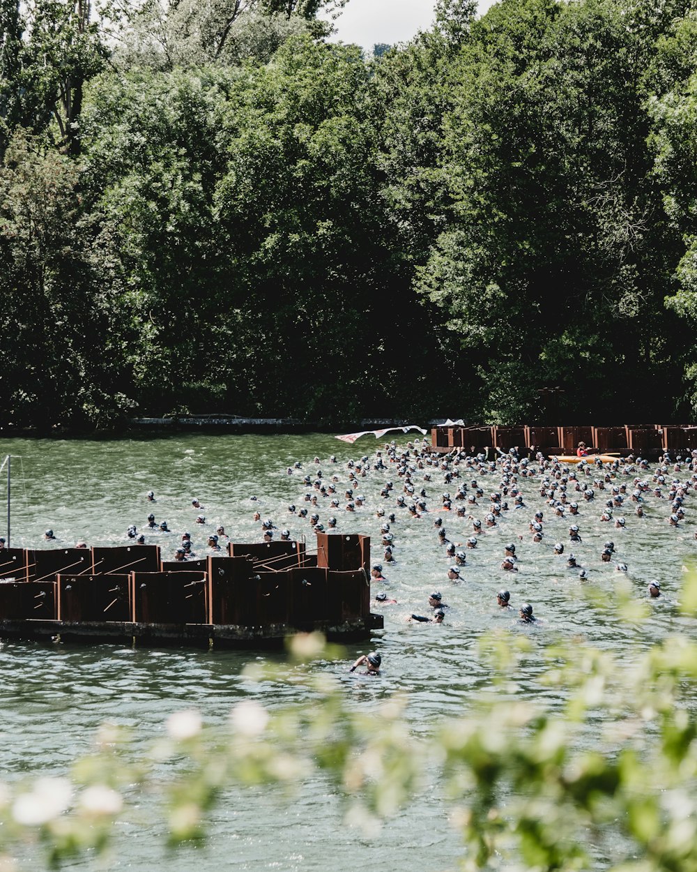 Gente nadando en el lago durante el día