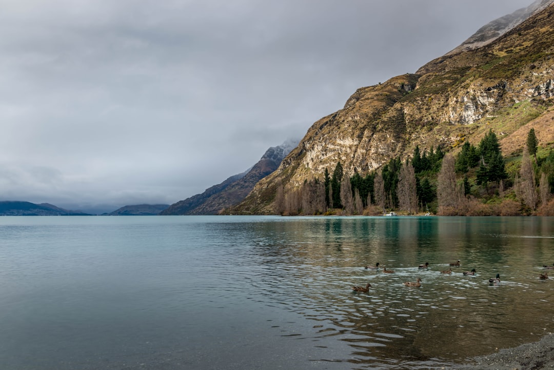 brown and green mountain beside body of water during daytime