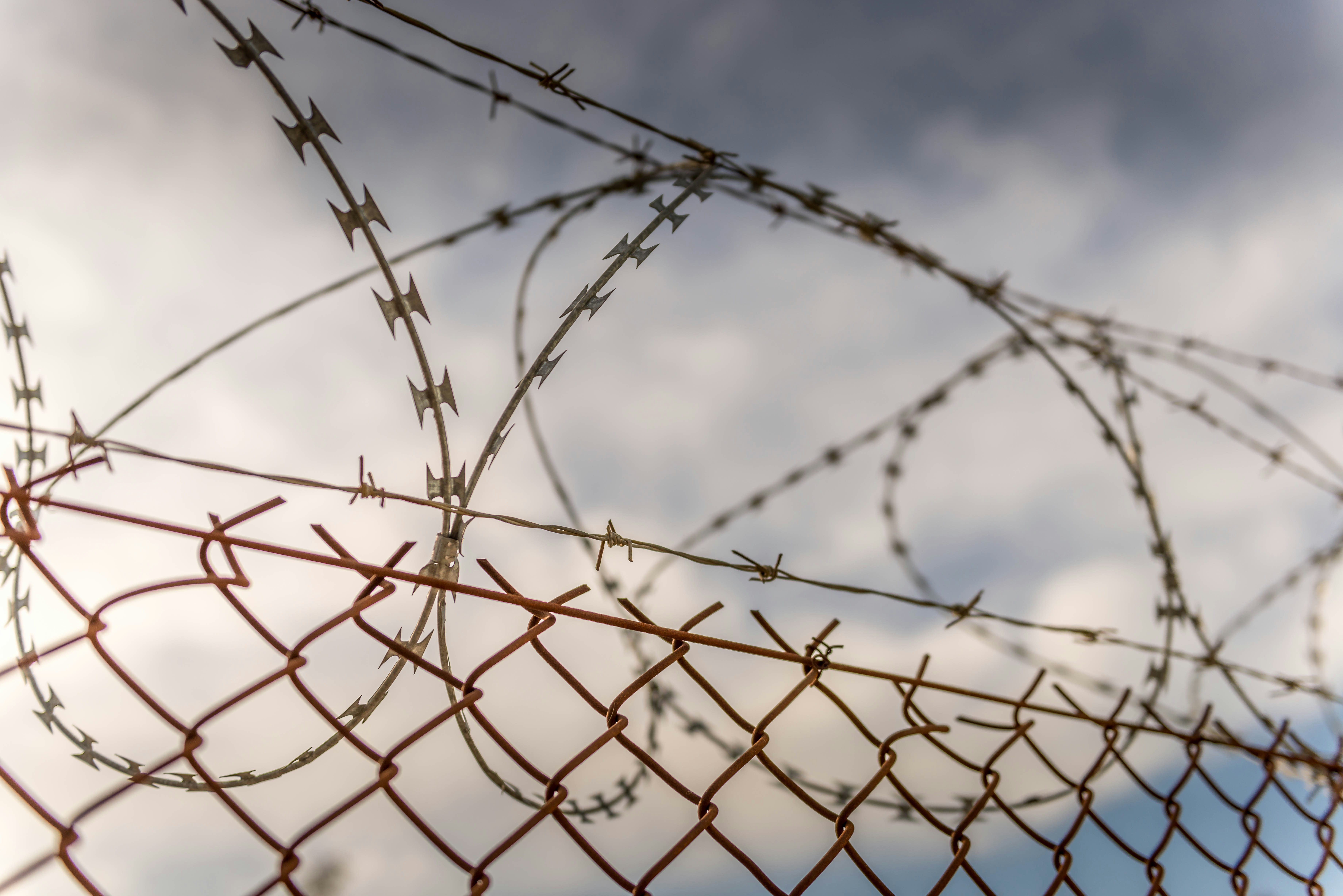 Photo by blaireddieau