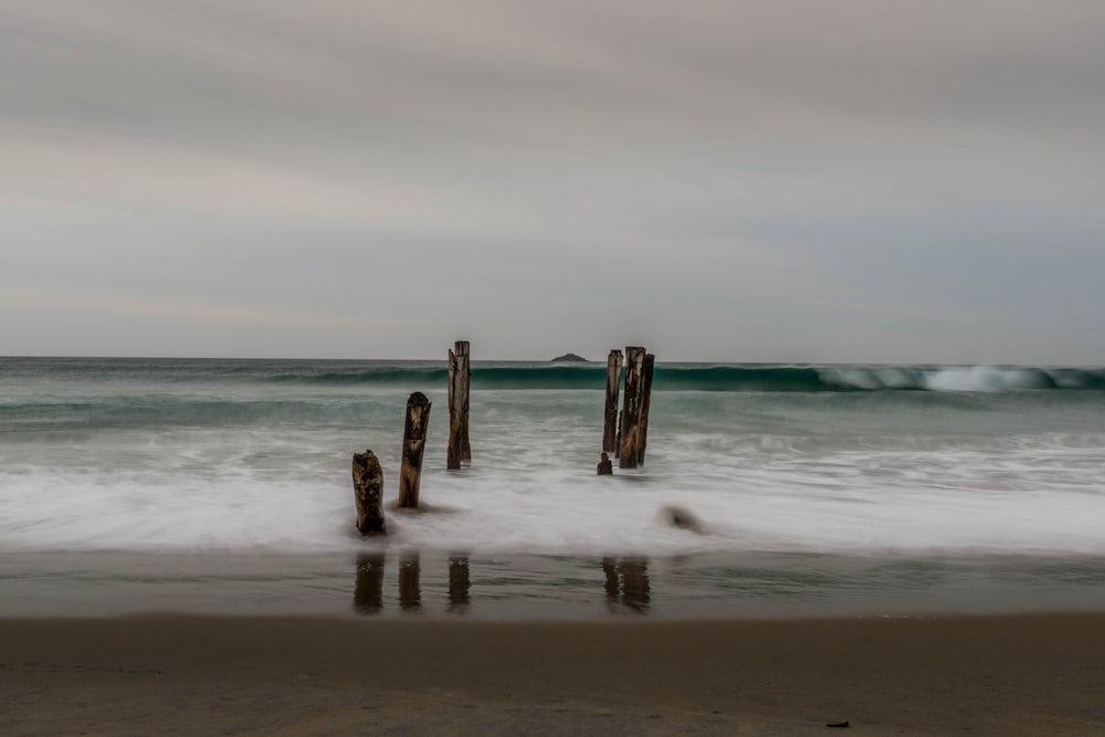 poste de madeira marrom na costa do mar durante o dia