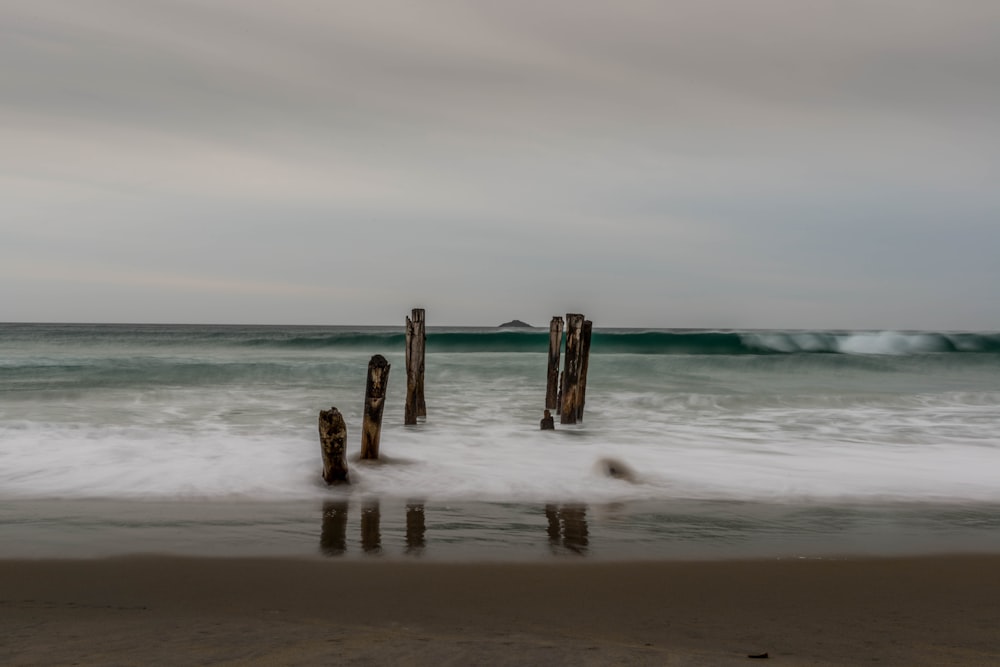 brown wooden post on sea shore during daytime