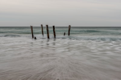 brown wooden dock on sea during daytime st. nick google meet background