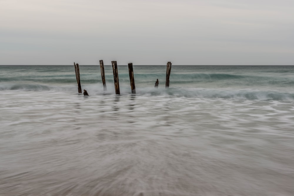 brown wooden dock on sea during daytime