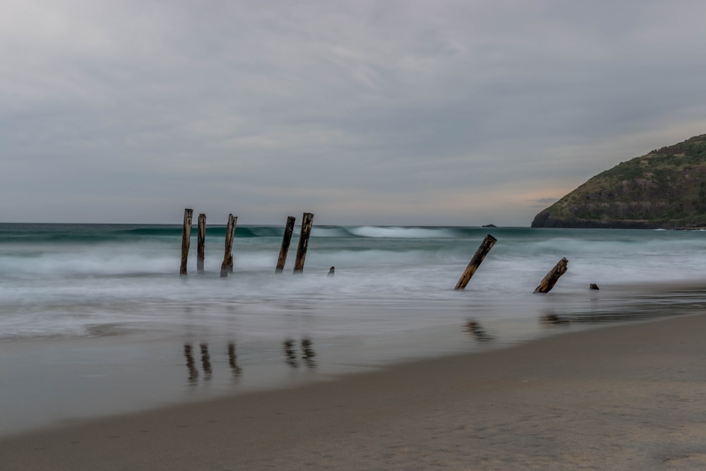 brown wooden fence on beach during daytime