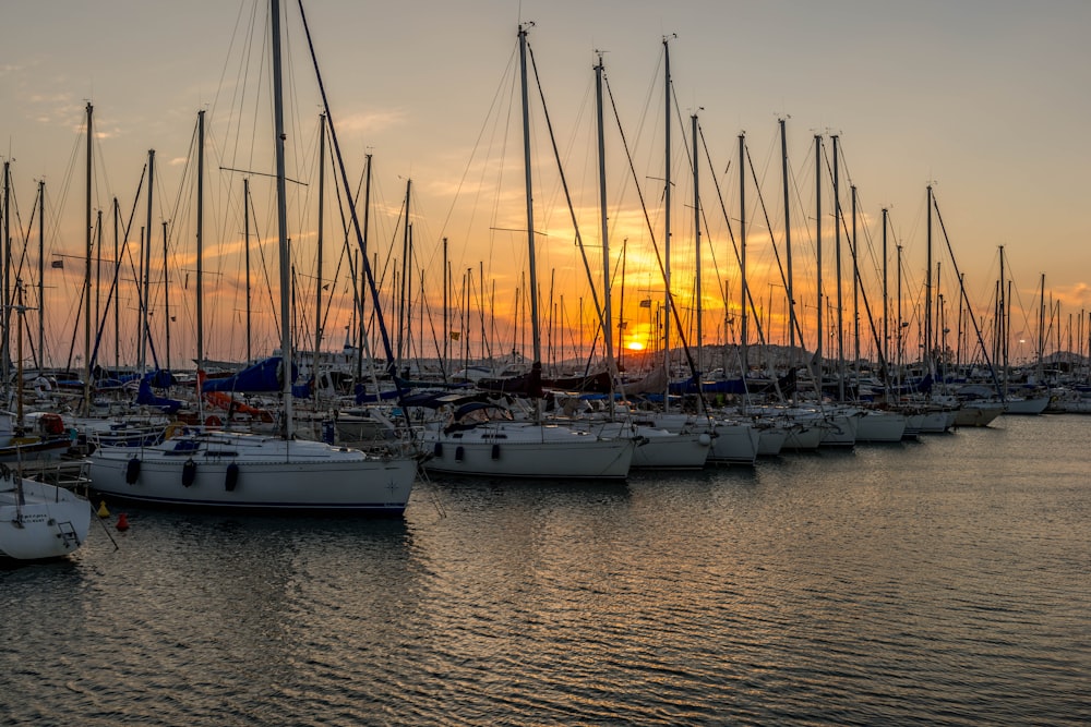 white and blue boat on sea during sunset