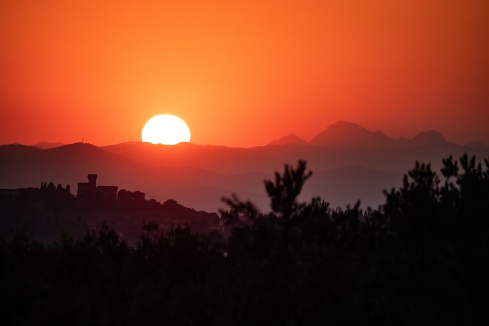 silhouette of trees during sunset