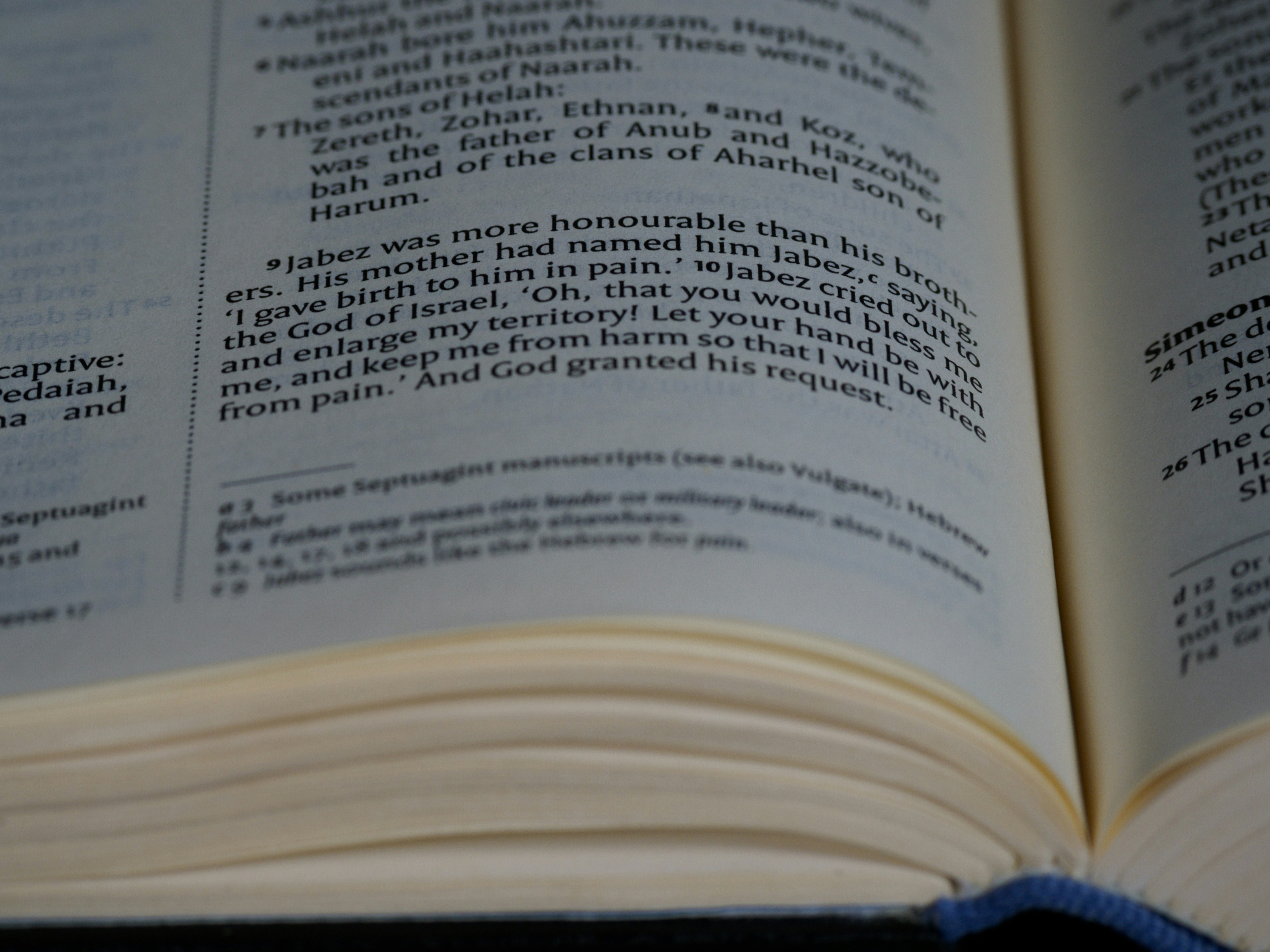 Photo by brett_jordan