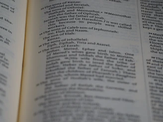 Screenshot of the updated archive page showing neatly organized PDF editions.