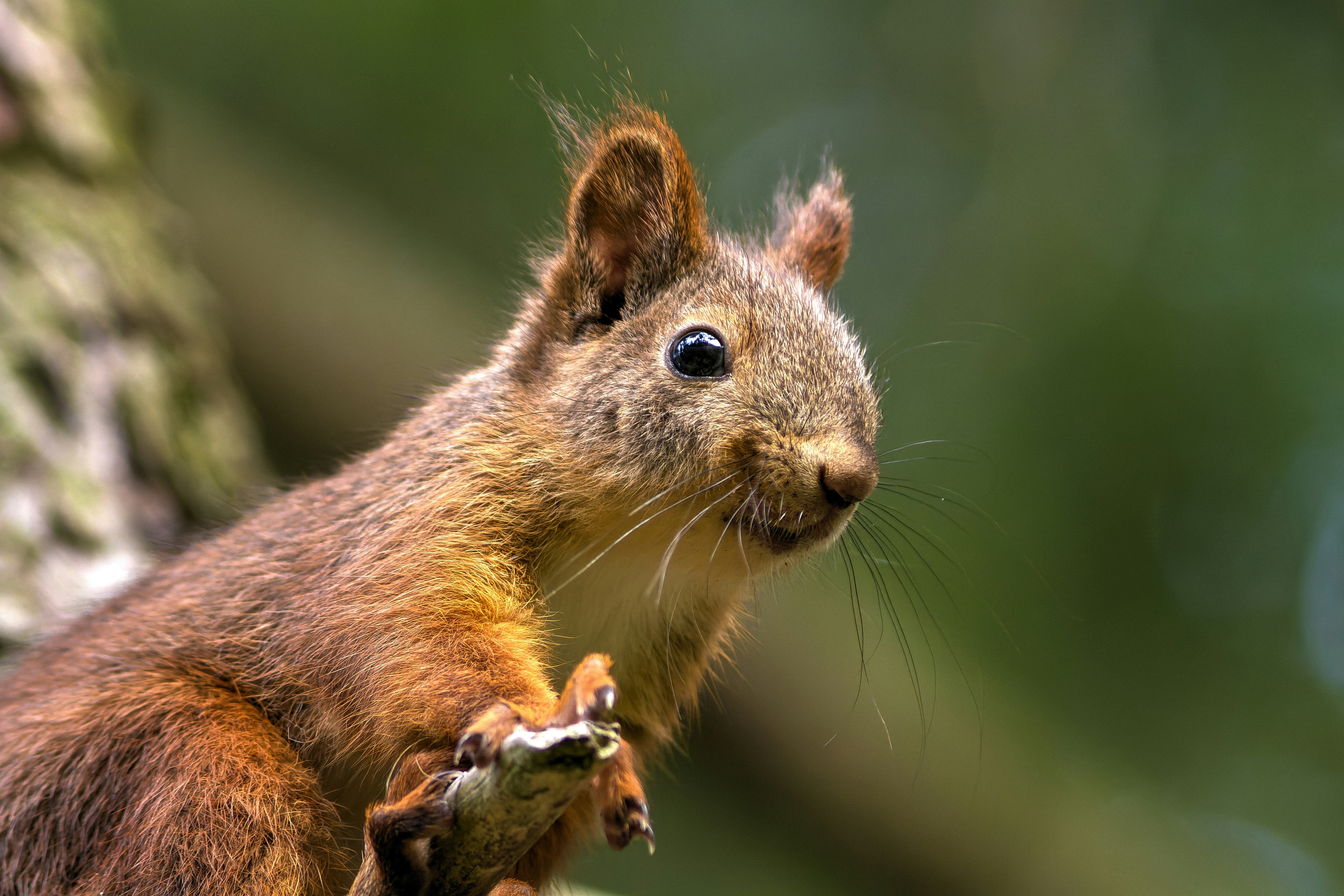 Photo by valentinhintikka