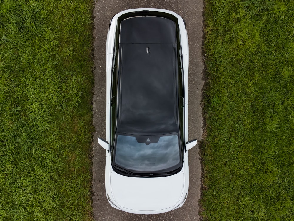 black and white car on green grass field during daytime