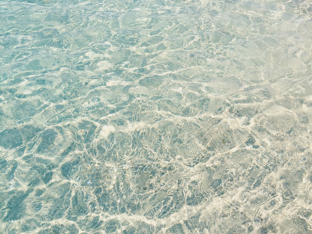 body of water during daytime