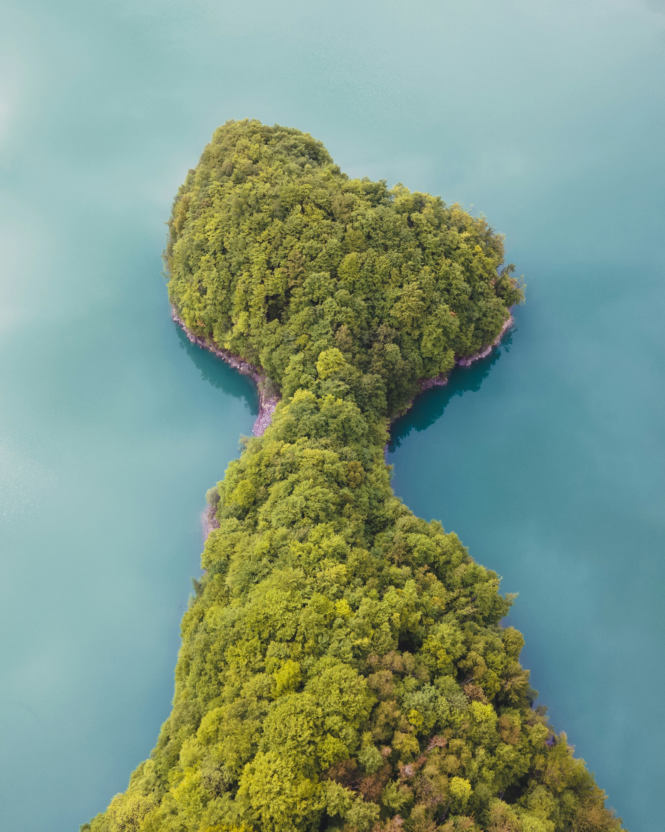 Photo by silviushoots