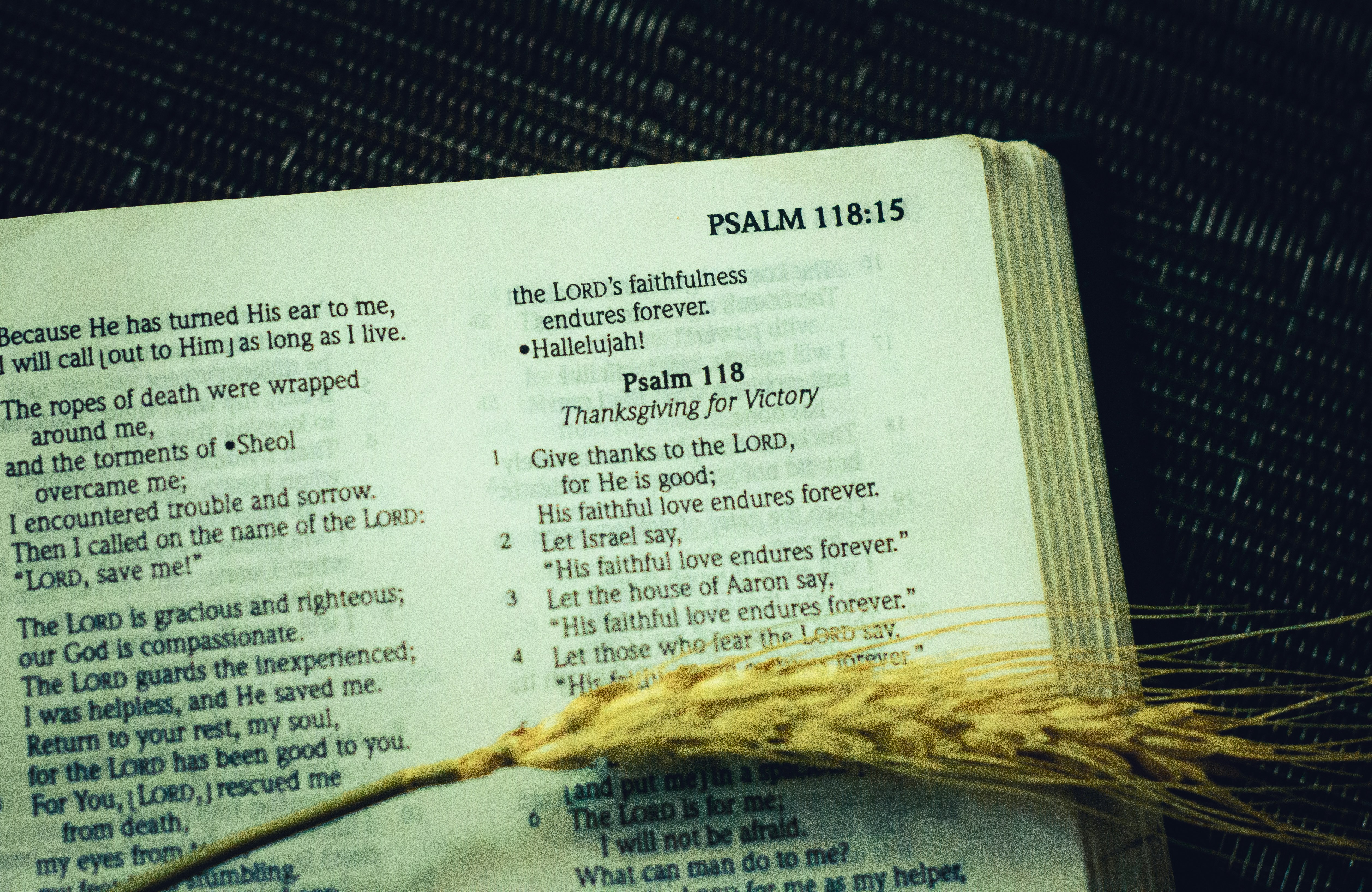 The Directness of the Psalms
