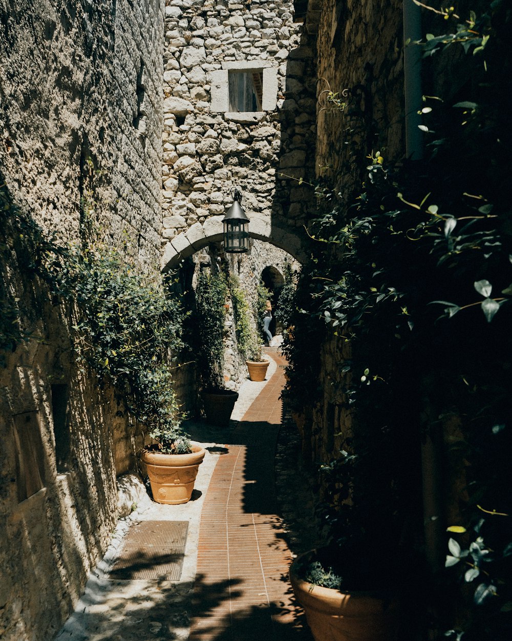 green plants on brown clay pots