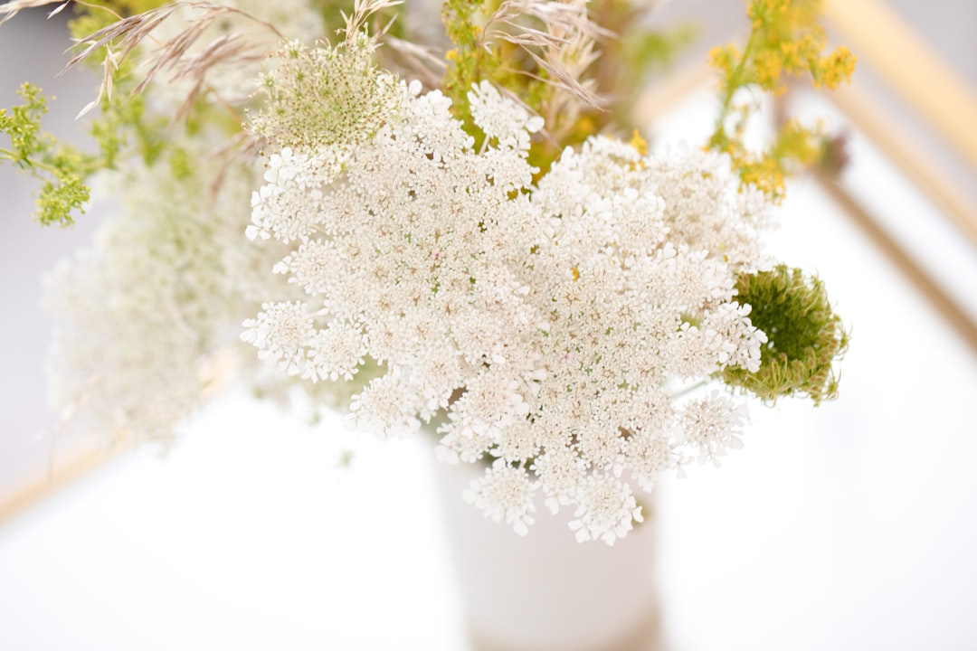 white flowers in white ceramic vase