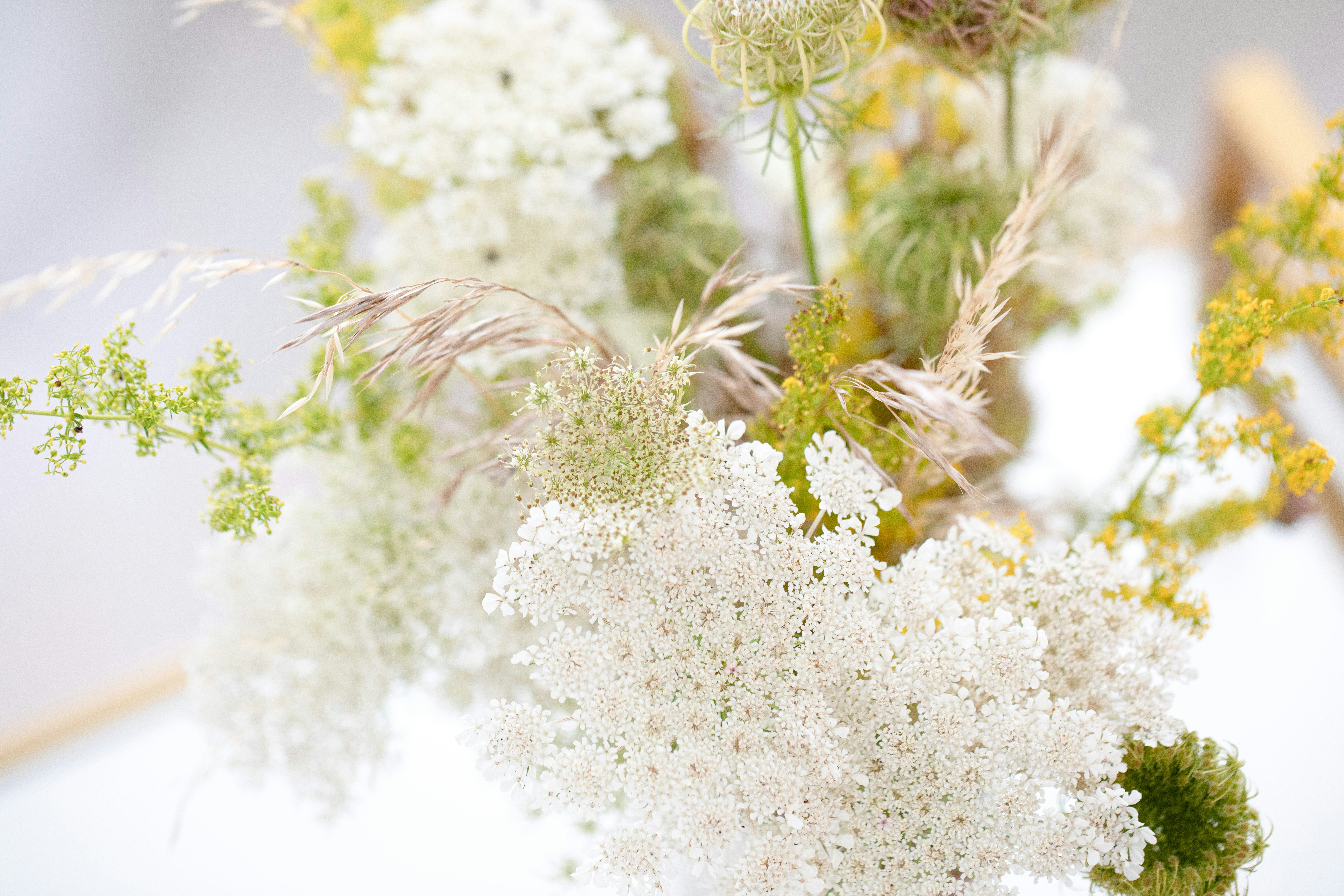 Flowers and Art