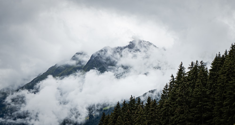 green trees on mountain under white clouds during daytime