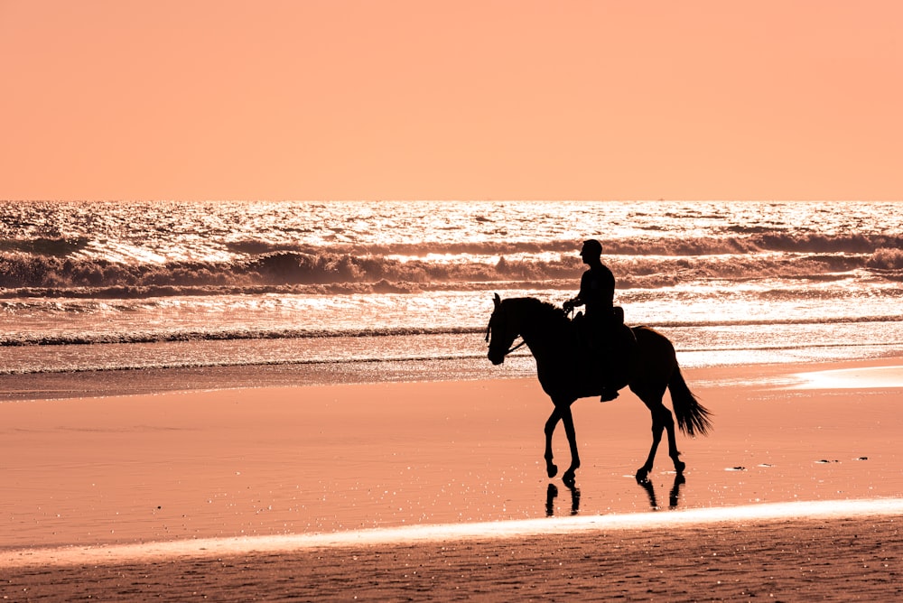 일몰 동안 해변에서 말을 타는 남자
