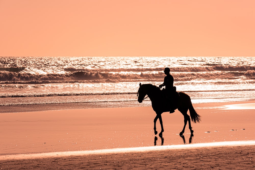 夕暮れ時の浜辺で馬に乗る男