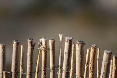A collection of sturdy poles in various sizes.