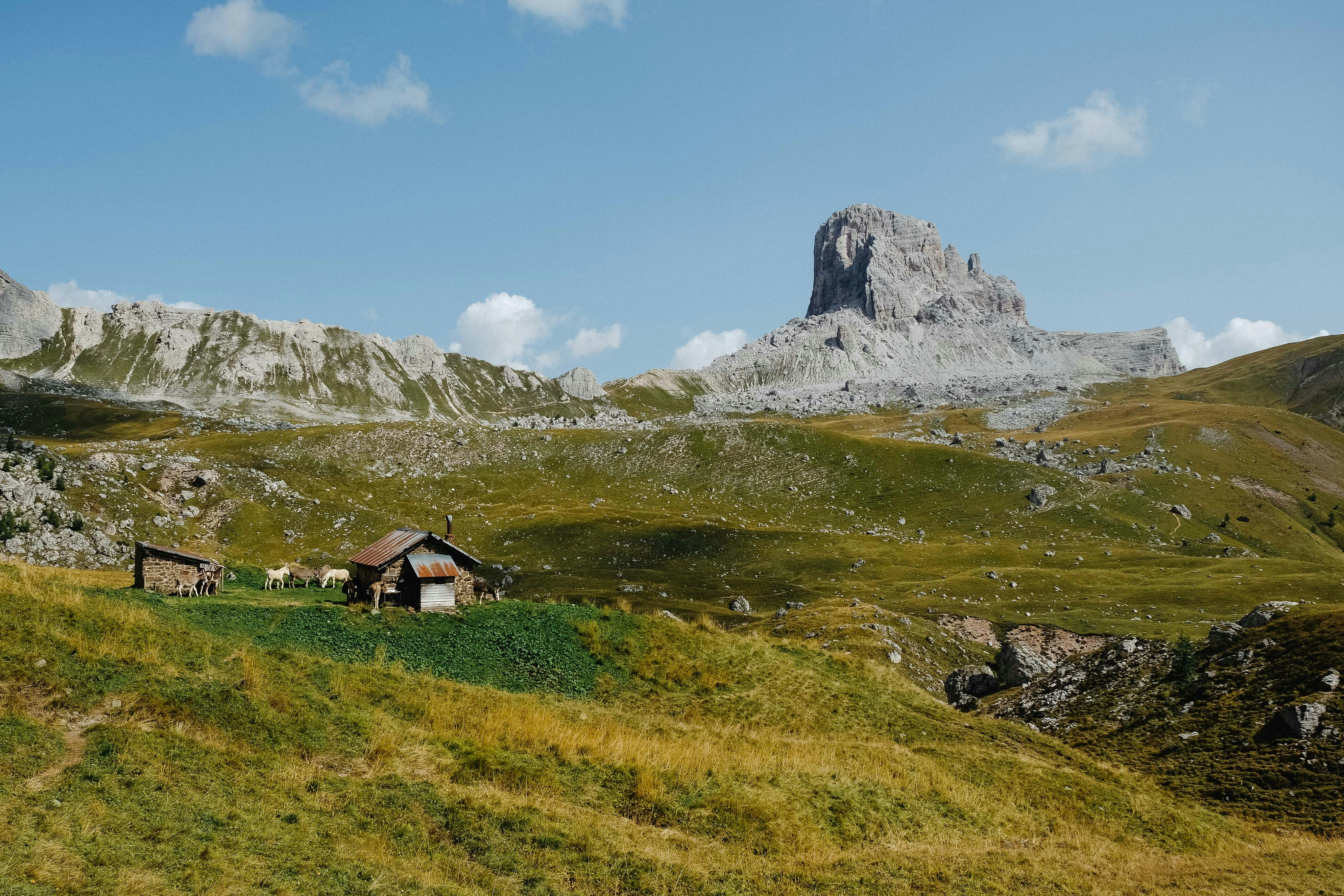 brown wooden house on green grass field near snow covered mountain during daytime
