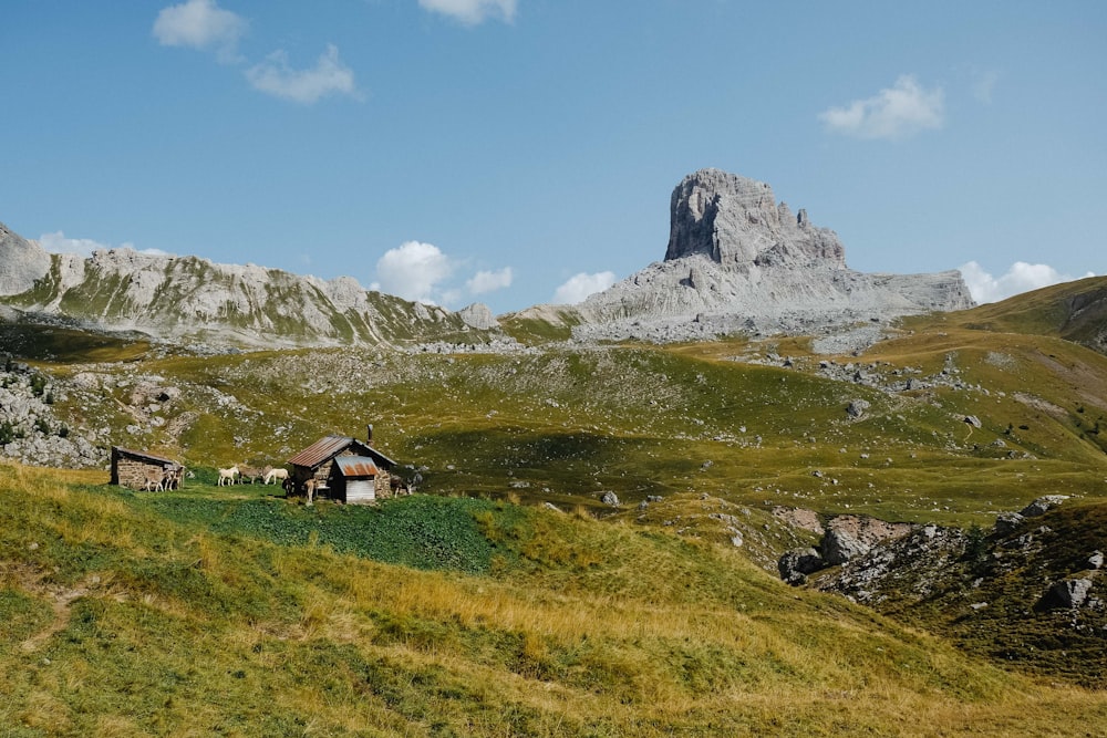 brown wooden house on green grass field near snow covered mountain during daytime