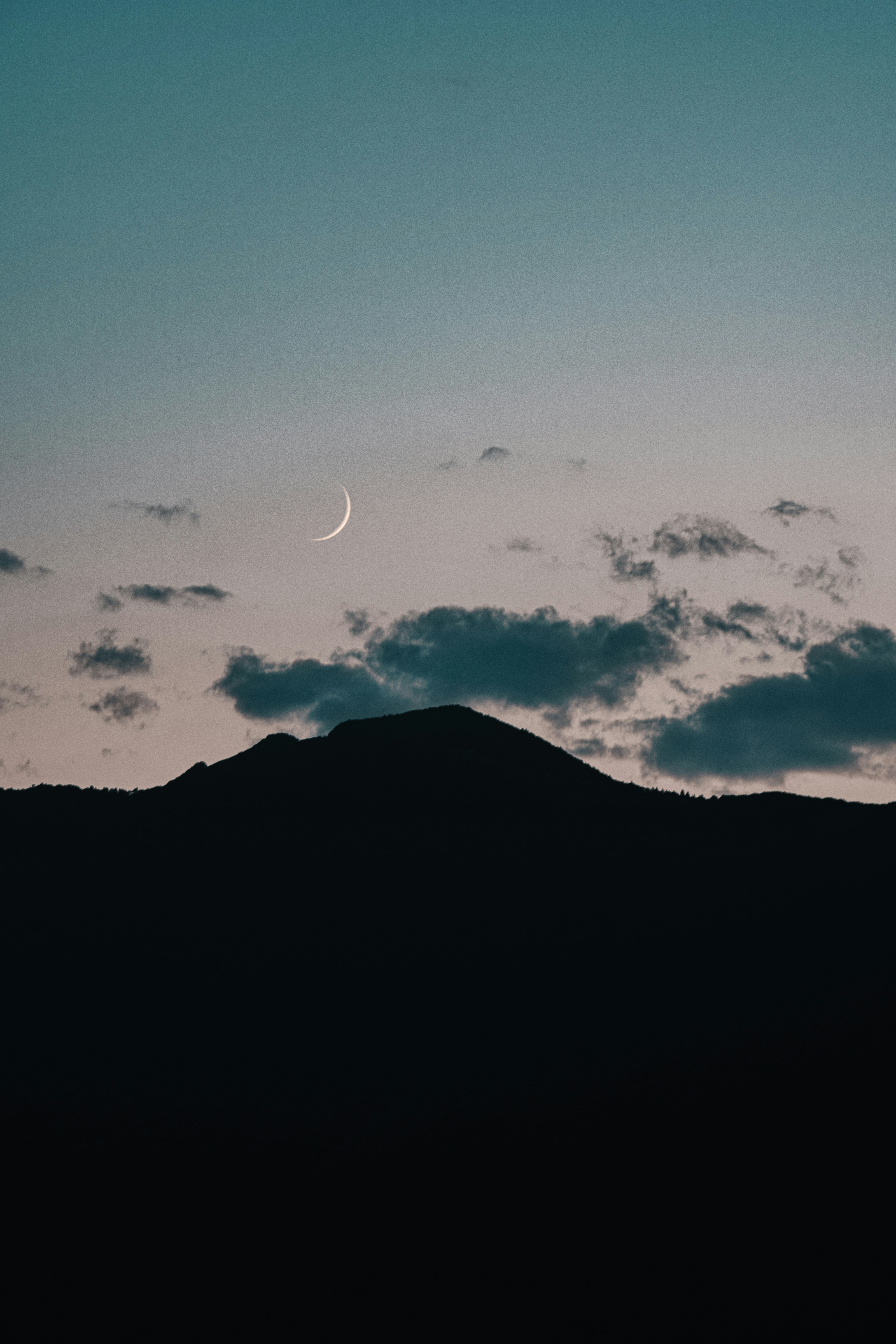 Photo by purzlbaum